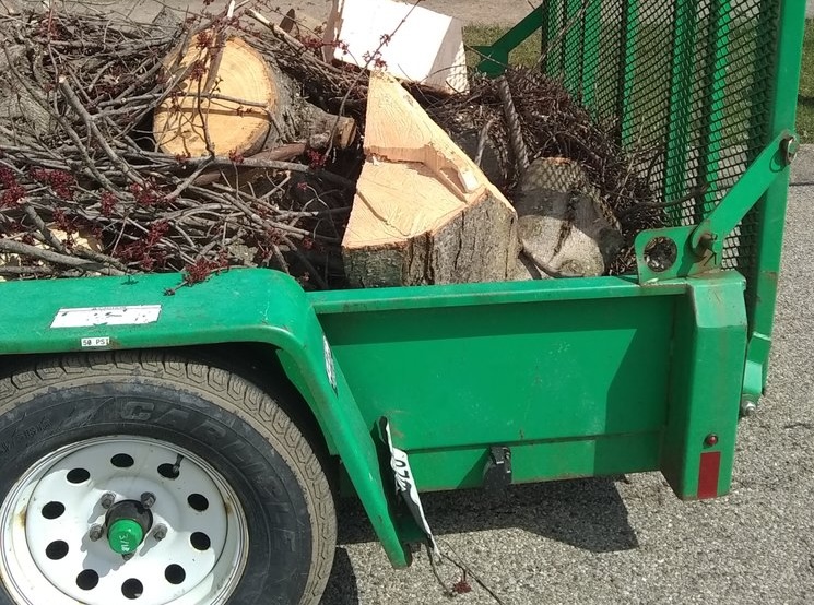 chopped tree branches in trailer