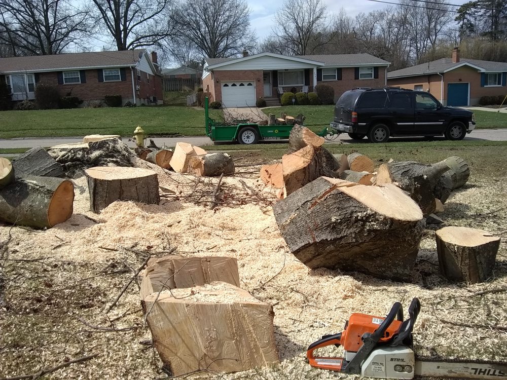 chopped tree debris